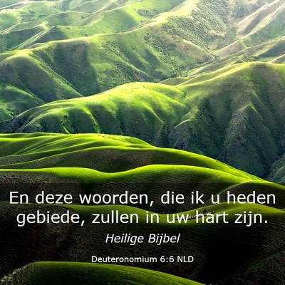Picture 03 - Deuteronomium 6:6 NLD - En deze woorden, die ik u heden gebiede, zullen - Bible Verse Picture
