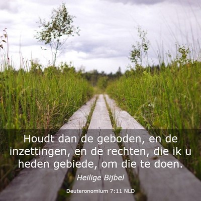 Picture 03 - Deuteronomium 7:11 NLD - Houdt dan de geboden, en de inzettingen, en de - Bible Verse Picture