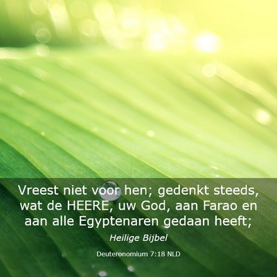 Picture 03 - Deuteronomium 7:18 NLD - Vreest niet voor hen; gedenkt steeds, wat de - Bible Verse Picture