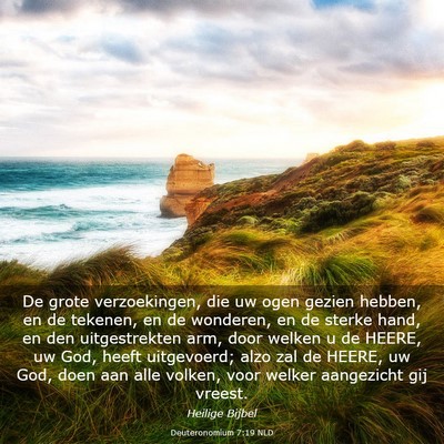 Picture 03 - Deuteronomium 7:19 NLD - De grote verzoekingen, die uw ogen gezien hebben, - Bible Verse Picture