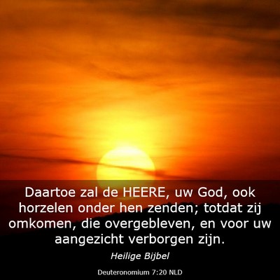 Picture 03 - Deuteronomium 7:20 NLD - Daartoe zal de HEERE, uw God, ook horzelen onder - Bible Verse Picture