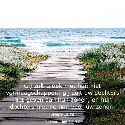 Picture 03 - Deuteronomium 7:3 NLD - Gij zult u ook met hen niet vermaagschappen; gij - Bible Verse Picture