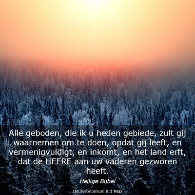 Picture 03 - Deuteronomium 8:1 NLD - Alle geboden, die ik u heden gebiede, zult gij - Bible Verse Picture