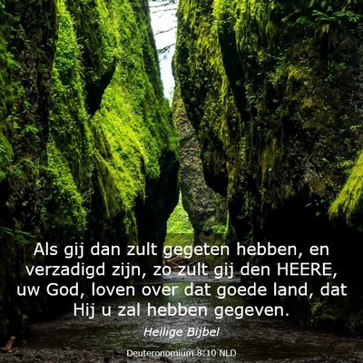 Picture 03 - Deuteronomium 8:10 NLD - Als gij dan zult gegeten hebben, en verzadigd - Bible Verse Picture