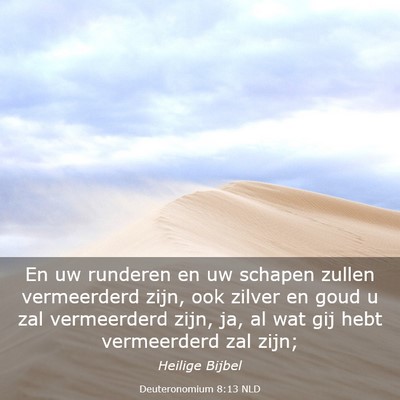 Picture 03 - Deuteronomium 8:13 NLD - En uw runderen en uw schapen zullen vermeerderd - Bible Verse Picture