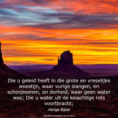 Picture 03 - Deuteronomium 8:15 NLD - Die u geleid heeft in die grote en vreselijke - Bible Verse Picture