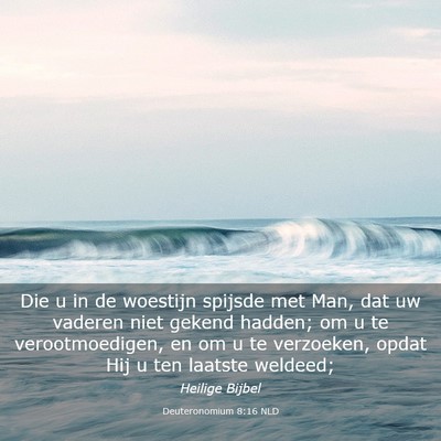 Picture 03 - Deuteronomium 8:16 NLD - Die u in de woestijn spijsde met Man, dat uw - Bible Verse Picture
