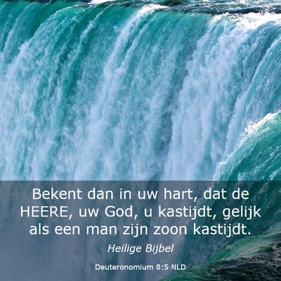 Picture 03 - Deuteronomium 8:5 NLD - Bekent dan in uw hart, dat de HEERE, uw God, u - Bible Verse Picture