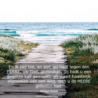 Picture 03 - Deuteronomium 9:16 NLD - En ik zag toe, en ziet, gij hadt tegen den HEERE, - Bible Verse Picture