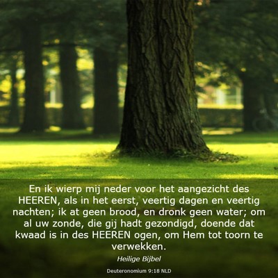 Picture 03 - Deuteronomium 9:18 NLD - En ik wierp mij neder voor het aangezicht des - Bible Verse Picture