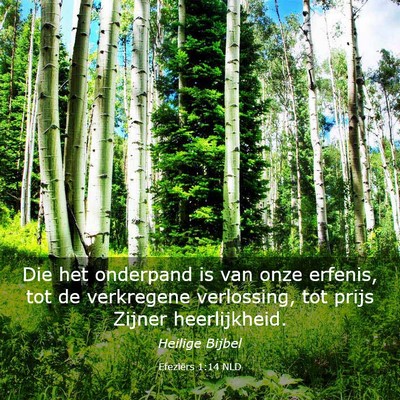Picture 03 - Efeziërs 1:14 NLD - Die het onderpand is van onze erfenis, tot de - Bible Verse Picture