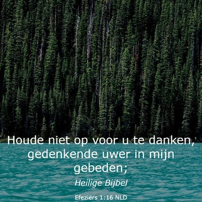 Picture 03 - Efeziërs 1:16 NLD - Houde niet op voor u te danken, gedenkende uwer - Bible Verse Picture