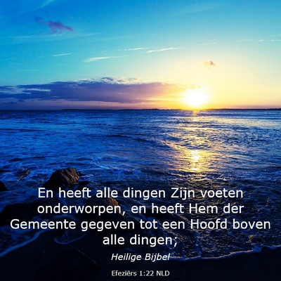 Picture 03 - Efeziërs 1:22 NLD - En heeft alle dingen Zijn voeten onderworpen, en - Bible Verse Picture