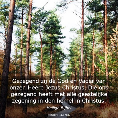 Picture 03 - Efeziërs 1:3 NLD - Gezegend zij de God en Vader van onzen Heere - Bible Verse Picture