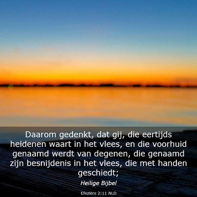 Picture 03 - Efeziërs 2:11 NLD - Daarom gedenkt, dat gij, die eertijds heidenen - Bible Verse Picture