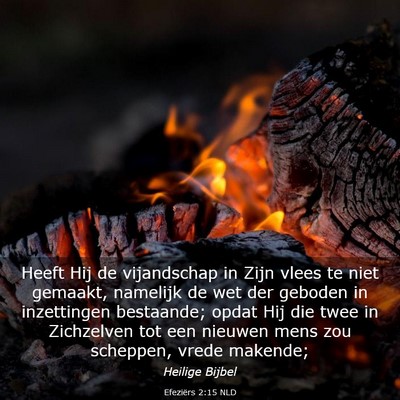 Picture 03 - Efeziërs 2:15 NLD - Heeft Hij de vijandschap in Zijn vlees te niet - Bible Verse Picture