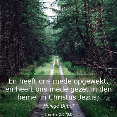 Picture 03 - Efeziërs 2:6 NLD - En heeft ons mede opgewekt, en heeft ons mede - Bible Verse Picture