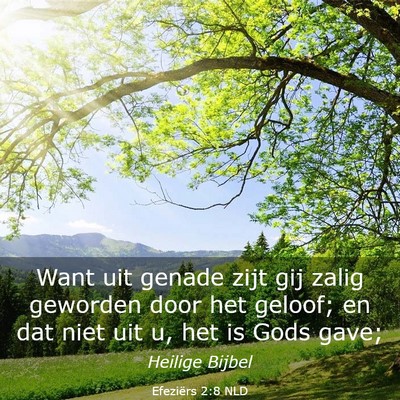 Picture 03 - Efeziërs 2:8 NLD - Want uit genade zijt gij zalig geworden door het - Bible Verse Picture