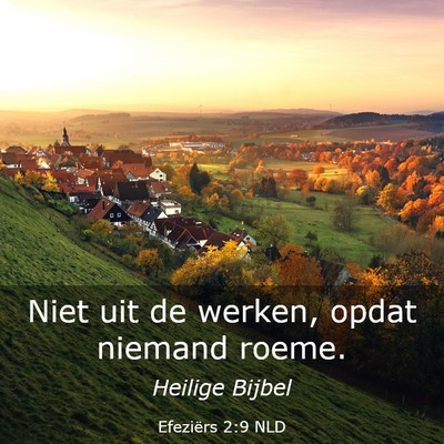 Picture 03 - Efeziërs 2:9 NLD - Niet uit de werken, opdat niemand - Bible Verse Picture