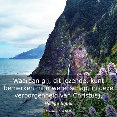 Picture 03 - Efeziërs 3:4 NLD - Waaraan gij, dit lezende, kunt bemerken mijn - Bible Verse Picture
