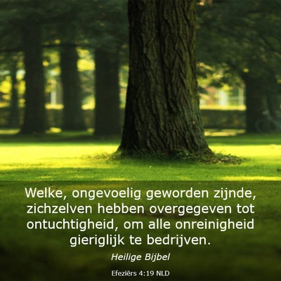 Picture 03 - Efeziërs 4:19 NLD - Welke, ongevoelig geworden zijnde, zichzelven - Bible Verse Picture
