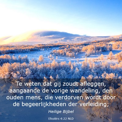 Picture 03 - Efeziërs 4:22 NLD - Te weten dat gij zoudt afleggen, aangaande de - Bible Verse Picture