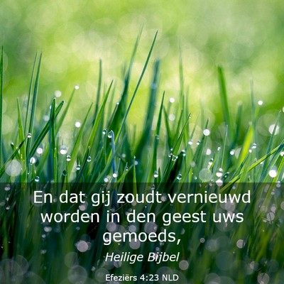 Picture 03 - Efeziërs 4:23 NLD - En dat gij zoudt vernieuwd worden in den geest - Bible Verse Picture
