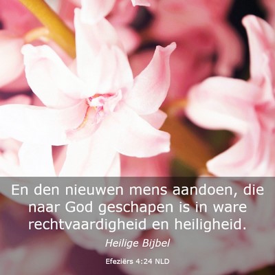 Picture 03 - Efeziërs 4:24 NLD - En den nieuwen mens aandoen, die naar God - Bible Verse Picture