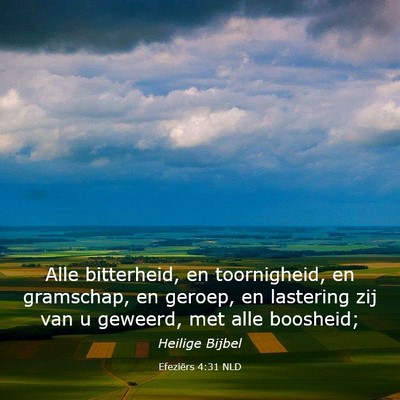 Picture 03 - Efeziërs 4:31 NLD - Alle bitterheid, en toornigheid, en gramschap, en - Bible Verse Picture