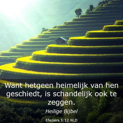 Picture 03 - Efeziërs 5:12 NLD - Want hetgeen heimelijk van hen geschiedt, is - Bible Verse Picture