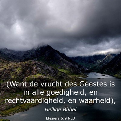 Picture 03 - Efeziërs 5:9 NLD - (Want de vrucht des Geestes is in alle - Bible Verse Picture