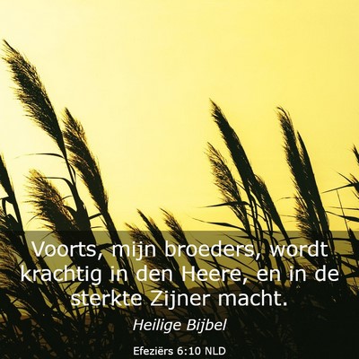 Picture 03 - Efeziërs 6:10 NLD - Voorts, mijn broeders, wordt krachtig in den - Bible Verse Picture
