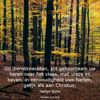 Picture 03 - Efeziërs 6:5 NLD - Gij dienstknechten, zijt gehoorzaam uw heren naar - Bible Verse Picture