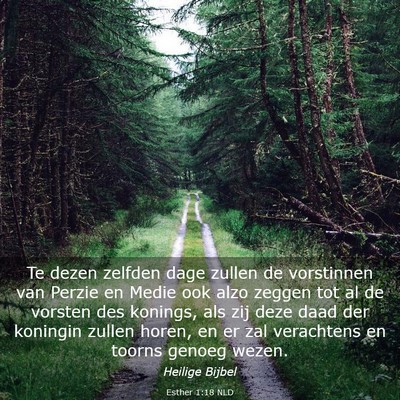 Picture 03 - Esther 1:18 NLD - Te dezen zelfden dage zullen de vorstinnen van - Bible Verse Picture