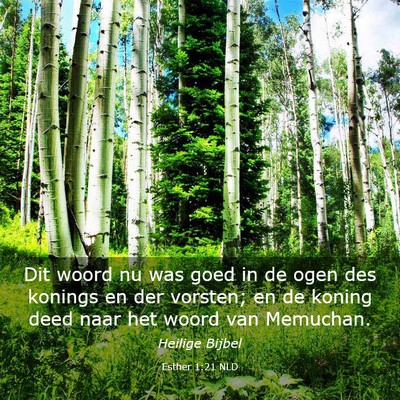 Picture 03 - Esther 1:21 NLD - Dit woord nu was goed in de ogen des konings en - Bible Verse Picture