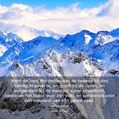 Picture 03 - Esther 10:3 NLD - Want de Jood Mordechai was de tweede bij den - Bible Verse Picture