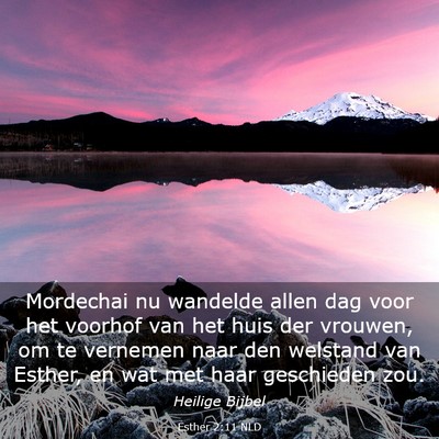 Picture 03 - Esther 2:11 NLD - Mordechai nu wandelde allen dag voor het voorhof - Bible Verse Picture