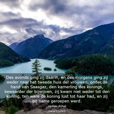 Picture 03 - Esther 2:14 NLD - Des avonds ging zij daarin, en des morgens ging - Bible Verse Picture