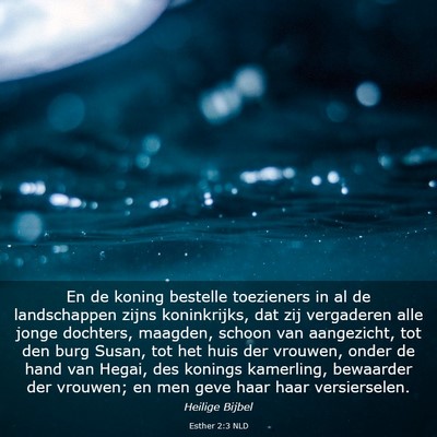 Picture 03 - Esther 2:3 NLD - En de koning bestelle toezieners in al de - Bible Verse Picture
