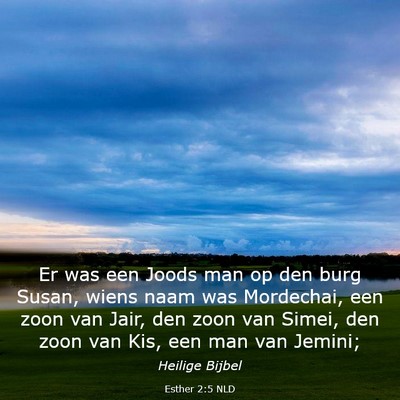 Picture 03 - Esther 2:5 NLD - Er was een Joods man op den burg Susan, wiens - Bible Verse Picture