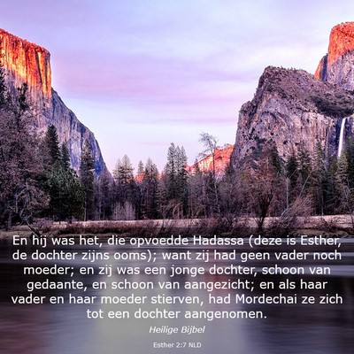 Picture 03 - Esther 2:7 NLD - En hij was het, die opvoedde Hadassa (deze is - Bible Verse Picture
