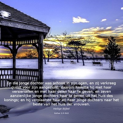 Picture 03 - Esther 2:9 NLD - En die jonge dochter was schoon in zijn ogen, en - Bible Verse Picture