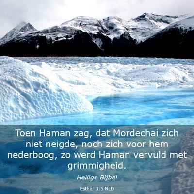 Picture 03 - Esther 3:5 NLD - Toen Haman zag, dat Mordechai zich niet neigde, - Bible Verse Picture