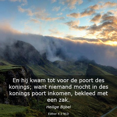 Picture 03 - Esther 4:2 NLD - En hij kwam tot voor de poort des konings; want - Bible Verse Picture