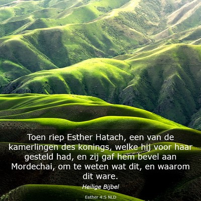 Picture 03 - Esther 4:5 NLD - Toen riep Esther Hatach, een van de kamerlingen - Bible Verse Picture