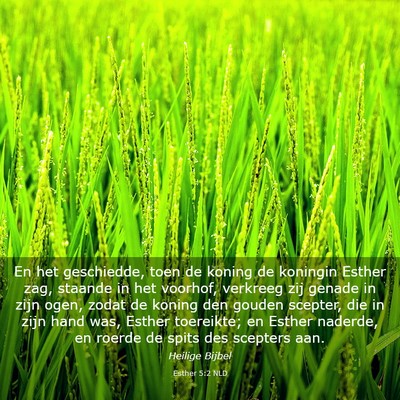 Picture 03 - Esther 5:2 NLD - En het geschiedde, toen de koning de koningin - Bible Verse Picture