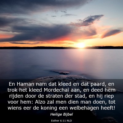 Picture 03 - Esther 6:11 NLD - En Haman nam dat kleed en dat paard, en trok het - Bible Verse Picture