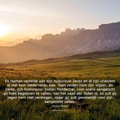Picture 03 - Esther 6:13 NLD - En Haman vertelde aan zijn huisvrouw Zeres en al - Bible Verse Picture