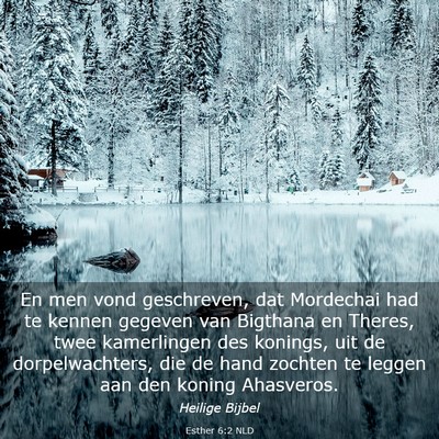 Picture 03 - Esther 6:2 NLD - En men vond geschreven, dat Mordechai had te - Bible Verse Picture
