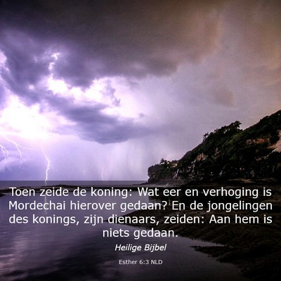Picture 03 - Esther 6:3 NLD - Toen zeide de koning: Wat eer en verhoging is - Bible Verse Picture